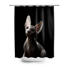 Штора 3D для ванной с принтом Сфинкс в Новосибирске, 100% полиэстер | плотность материала — 100 г/м2. Стандартный размер — 146 см х 180 см. По верхнему краю — пластиковые люверсы для креплений. В комплекте 10 пластиковых колец | black | cat | взгляд | кот | котик | котэ | кошка | сфинкс | уши | черный