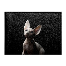 Обложка для студенческого билета с принтом Сфинкс в Новосибирске, натуральная кожа | Размер: 11*8 см; Печать на всей внешней стороне | Тематика изображения на принте: black | cat | взгляд | кот | котик | котэ | кошка | сфинкс | уши | черный