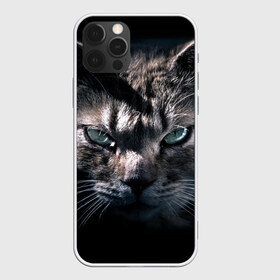 Чехол для iPhone 12 Pro Max с принтом Котик в Новосибирске, Силикон |  | животные | кот | котенок | котик | кошка