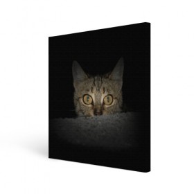 Холст квадратный с принтом Котик в Новосибирске, 100% ПВХ |  | животные | кот | котенок | котик | кошка