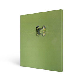Холст квадратный с принтом Лягушка в Новосибирске, 100% ПВХ |  | Тематика изображения на принте: болото | жаба | животные | лягушка