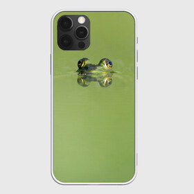 Чехол для iPhone 12 Pro Max с принтом Лягушка в Новосибирске, Силикон |  | болото | жаба | животные | лягушка