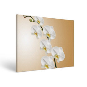 Холст прямоугольный с принтом Orhid в Новосибирске, 100% ПВХ |  | Тематика изображения на принте: девушки | красота | орхидея | прелесть | цветы
