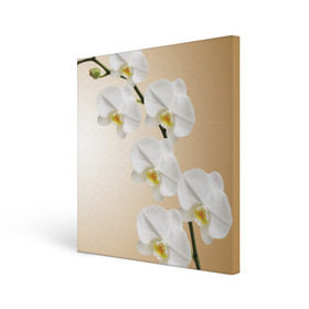 Холст квадратный с принтом Orhid в Новосибирске, 100% ПВХ |  | Тематика изображения на принте: девушки | красота | орхидея | прелесть | цветы