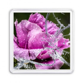 Магнит 55*55 с принтом Душа цветов в Новосибирске, Пластик | Размер: 65*65 мм; Размер печати: 55*55 мм | Тематика изображения на принте: бабочка | букет | вода | девушки | душа | красота | прелесть | роза | розы | цветы