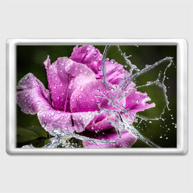 Магнит 45*70 с принтом Душа цветов в Новосибирске, Пластик | Размер: 78*52 мм; Размер печати: 70*45 | Тематика изображения на принте: бабочка | букет | вода | девушки | душа | красота | прелесть | роза | розы | цветы
