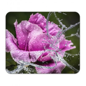 Коврик прямоугольный с принтом Душа цветов в Новосибирске, натуральный каучук | размер 230 х 185 мм; запечатка лицевой стороны | Тематика изображения на принте: бабочка | букет | вода | девушки | душа | красота | прелесть | роза | розы | цветы