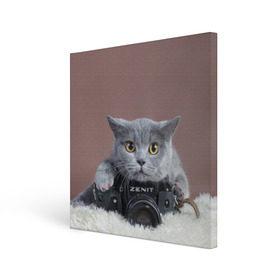 Холст квадратный с принтом Котик фотограф в Новосибирске, 100% ПВХ |  | кот | котик | кошка | объектив | фотоаппарат | фотограф