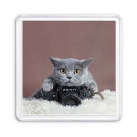 Магнит 55*55 с принтом Котик фотограф в Новосибирске, Пластик | Размер: 65*65 мм; Размер печати: 55*55 мм | кот | котик | кошка | объектив | фотоаппарат | фотограф