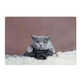 Магнитный плакат 3Х2 с принтом Котик фотограф в Новосибирске, Полимерный материал с магнитным слоем | 6 деталей размером 9*9 см | кот | котик | кошка | объектив | фотоаппарат | фотограф