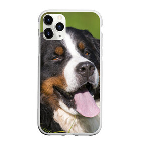 Чехол для iPhone 11 Pro матовый с принтом Бернский зенненхунд в Новосибирске, Силикон |  | Тематика изображения на принте: волкодав | дворняжка | домашние животные | любимец | мопс | овчарка | пес | песик | питомец | сенбернар | собака | собачка