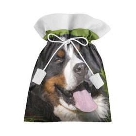 Подарочный 3D мешок с принтом Бернский зенненхунд в Новосибирске, 100% полиэстер | Размер: 29*39 см | волкодав | дворняжка | домашние животные | любимец | мопс | овчарка | пес | песик | питомец | сенбернар | собака | собачка