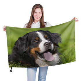 Флаг 3D с принтом Бернский зенненхунд в Новосибирске, 100% полиэстер | плотность ткани — 95 г/м2, размер — 67 х 109 см. Принт наносится с одной стороны | волкодав | дворняжка | домашние животные | любимец | мопс | овчарка | пес | песик | питомец | сенбернар | собака | собачка