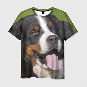 Мужская футболка 3D с принтом Бернский зенненхунд в Новосибирске, 100% полиэфир | прямой крой, круглый вырез горловины, длина до линии бедер | волкодав | дворняжка | домашние животные | любимец | мопс | овчарка | пес | песик | питомец | сенбернар | собака | собачка