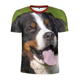 Мужская футболка 3D спортивная с принтом Бернский зенненхунд в Новосибирске, 100% полиэстер с улучшенными характеристиками | приталенный силуэт, круглая горловина, широкие плечи, сужается к линии бедра | волкодав | дворняжка | домашние животные | любимец | мопс | овчарка | пес | песик | питомец | сенбернар | собака | собачка