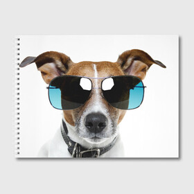 Альбом для рисования с принтом Джек Рассел в очках в Новосибирске, 100% бумага
 | матовая бумага, плотность 200 мг. | волкодав | дворняжка | джек | джек рассел | домашние животные | любимец | мопс | овчарка | пес | песик | питомец | рассел | сенбернар | собака | собачка