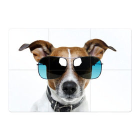 Магнитный плакат 3Х2 с принтом Джек Рассел в очках в Новосибирске, Полимерный материал с магнитным слоем | 6 деталей размером 9*9 см | волкодав | дворняжка | джек | джек рассел | домашние животные | любимец | мопс | овчарка | пес | песик | питомец | рассел | сенбернар | собака | собачка