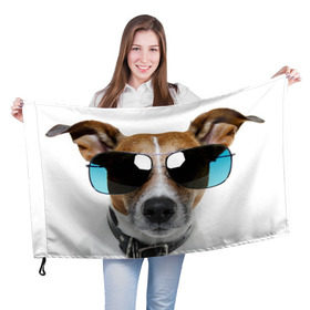 Флаг 3D с принтом Джек Рассел в очках в Новосибирске, 100% полиэстер | плотность ткани — 95 г/м2, размер — 67 х 109 см. Принт наносится с одной стороны | волкодав | дворняжка | джек | джек рассел | домашние животные | любимец | мопс | овчарка | пес | песик | питомец | рассел | сенбернар | собака | собачка