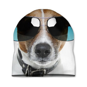Шапка 3D с принтом Джек Рассел в очках в Новосибирске, 100% полиэстер | универсальный размер, печать по всей поверхности изделия | волкодав | дворняжка | джек | джек рассел | домашние животные | любимец | мопс | овчарка | пес | песик | питомец | рассел | сенбернар | собака | собачка