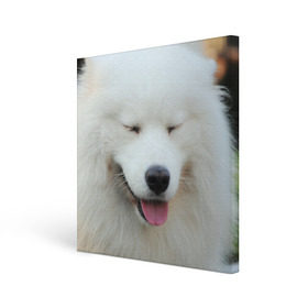 Холст квадратный с принтом Самоед в Новосибирске, 100% ПВХ |  | Тематика изображения на принте: далматин | лабрадор | любимец | овчарка | пес | питомец | самоед | собака | собачка | щенок