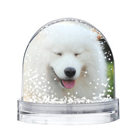 Снежный шар с принтом Самоед в Новосибирске, Пластик | Изображение внутри шара печатается на глянцевой фотобумаге с двух сторон | далматин | лабрадор | любимец | овчарка | пес | питомец | самоед | собака | собачка | щенок