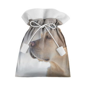 Подарочный 3D мешок с принтом Лабрадор в Новосибирске, 100% полиэстер | Размер: 29*39 см | далматин | далматинец | дворняга | лабрадор | любимец | овчарка | пес | питомец | самоед | собака | собачка | щенок
