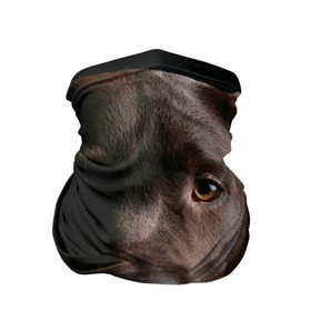 Бандана-труба 3D с принтом Лабрадор в Новосибирске, 100% полиэстер, ткань с особыми свойствами — Activecool | плотность 150‒180 г/м2; хорошо тянется, но сохраняет форму | далматин | далматинец | дворняга | лабрадор | любимец | овчарка | пес | питомец | самоед | собака | собачка | щенок