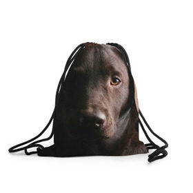 Рюкзак-мешок 3D с принтом Лабрадор в Новосибирске, 100% полиэстер | плотность ткани — 200 г/м2, размер — 35 х 45 см; лямки — толстые шнурки, застежка на шнуровке, без карманов и подкладки | Тематика изображения на принте: далматин | далматинец | дворняга | лабрадор | любимец | овчарка | пес | питомец | самоед | собака | собачка | щенок