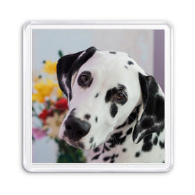 Магнит 55*55 с принтом Далматин в Новосибирске, Пластик | Размер: 65*65 мм; Размер печати: 55*55 мм | акита | акита ину | далматин | далматинец | дворняга | ину | лабрадор | любимец | овчарка | пес | питомец | самоед | сиба | сиба ину | собака | собачка | щенок