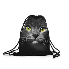 Рюкзак-мешок 3D с принтом Кошачий взгляд в Новосибирске, 100% полиэстер | плотность ткани — 200 г/м2, размер — 35 х 45 см; лямки — толстые шнурки, застежка на шнуровке, без карманов и подкладки | взгляд | взор | глаза | киска | кот | котёнок | кошка | усы