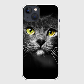 Чехол для iPhone 13 с принтом Кошачий взгляд в Новосибирске,  |  | взгляд | взор | глаза | киска | кот | котёнок | кошка | усы