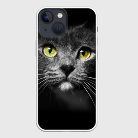 Чехол для iPhone 13 mini с принтом Кошачий взгляд в Новосибирске,  |  | взгляд | взор | глаза | киска | кот | котёнок | кошка | усы