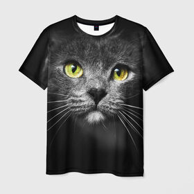 Мужская футболка 3D с принтом Кошачий взгляд в Новосибирске, 100% полиэфир | прямой крой, круглый вырез горловины, длина до линии бедер | Тематика изображения на принте: взгляд | взор | глаза | киска | кот | котёнок | кошка | усы