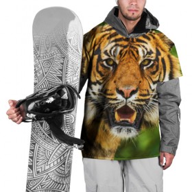 Накидка на куртку 3D с принтом Тигр в Новосибирске, 100% полиэстер |  | дикая кошка | животное | клыки | лев | тигр. tiger | хищник