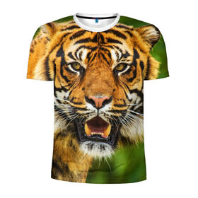 Мужская футболка 3D спортивная с принтом Тигр в Новосибирске, 100% полиэстер с улучшенными характеристиками | приталенный силуэт, круглая горловина, широкие плечи, сужается к линии бедра | дикая кошка | животное | клыки | лев | тигр. tiger | хищник