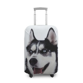 Чехол для чемодана 3D с принтом Сибирский хаски в Новосибирске, 86% полиэфир, 14% спандекс | двустороннее нанесение принта, прорези для ручек и колес | взгляд | голубые глаза | зима | сибирь | снег | собака | хаски | хаски бандит | холод