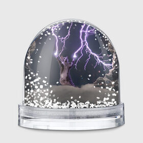 Водяной шар с принтом Грозовой кошак в Новосибирске, Пластик | Изображение внутри шара печатается на глянцевой фотобумаге с двух сторон | lightning cat