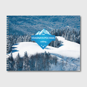 Альбом для рисования с принтом Красная поляна в Новосибирске, 100% бумага
 | матовая бумага, плотность 200 мг. | горнолыжный курорт | горы | зима | красная поляна | лыжи | парк | роза хуторов | снег | сноутборд | сочи