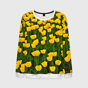 Мужской свитшот 3D с принтом Жёлтые тюльпаны в Новосибирске, 100% полиэстер с мягким внутренним слоем | круглый вырез горловины, мягкая резинка на манжетах и поясе, свободная посадка по фигуре | поле | цветы | яркий