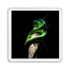 Магнит 55*55 с принтом Змея на груди в Новосибирске, Пластик | Размер: 65*65 мм; Размер печати: 55*55 мм | Тематика изображения на принте: гадюка | дерево | джунгли | зелёный змей | змея | кобра | природа | удав