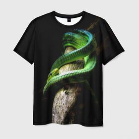 Мужская футболка 3D с принтом Змея на груди в Новосибирске, 100% полиэфир | прямой крой, круглый вырез горловины, длина до линии бедер | гадюка | дерево | джунгли | зелёный змей | змея | кобра | природа | удав