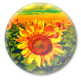 Значок с принтом Подсолнухи в Новосибирске,  металл | круглая форма, металлическая застежка в виде булавки | Тематика изображения на принте: лето | подсолнух | поле | природа | цветок | яркая
