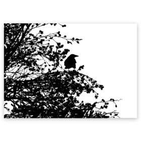 Поздравительная открытка с принтом Ворон в Новосибирске, 100% бумага | плотность бумаги 280 г/м2, матовая, на обратной стороне линовка и место для марки
 | ворон | ворона | галка | дерево | птица