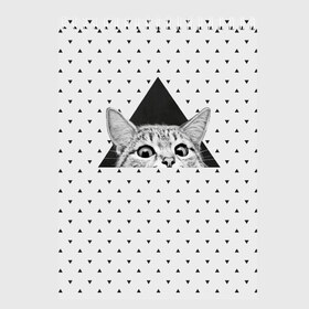 Скетчбук с принтом Взгляд кота в Новосибирске, 100% бумага
 | 48 листов, плотность листов — 100 г/м2, плотность картонной обложки — 250 г/м2. Листы скреплены сверху удобной пружинной спиралью | animal | beast | cat | feline | kitty | meow | triangle | взгляд | геометрия | животное | зверь | китти | кот | котенок | кошка | мяу | треугольник