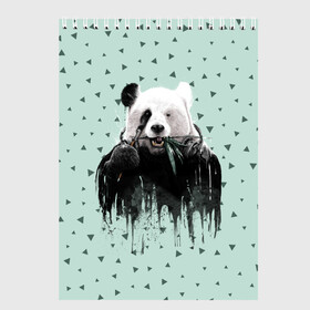 Скетчбук с принтом Панда-художник в Новосибирске, 100% бумага
 | 48 листов, плотность листов — 100 г/м2, плотность картонной обложки — 250 г/м2. Листы скреплены сверху удобной пружинной спиралью | animal | art | artist | bear | beast | design | panda | style | арт | дизайн | животное | зверь | кисть | краски | медведь | панда | стиль | художник