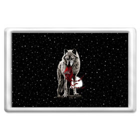 Магнит 45*70 с принтом Серый волк в Новосибирске, Пластик | Размер: 78*52 мм; Размер печати: 70*45 | angry | animal | beast | heaven | moon | night | rage | sky | star | wild | wolf | волк | дикий | животное | звезды | зверь | злость | красная шапочка | луна | небеса | небо | ночь | сказка | ярость