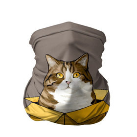 Бандана-труба 3D с принтом Maru в Новосибирске, 100% полиэстер, ткань с особыми свойствами — Activecool | плотность 150‒180 г/м2; хорошо тянется, но сохраняет форму | Тематика изображения на принте: cat | maru | коробка | кот в коробке | кот мару | котейка | кошка | мару | прикол