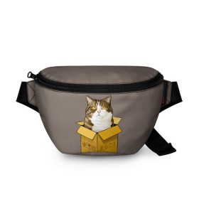 Поясная сумка 3D с принтом Maru в Новосибирске, 100% полиэстер | плотная ткань, ремень с регулируемой длиной, внутри несколько карманов для мелочей, основное отделение и карман с обратной стороны сумки застегиваются на молнию | cat | maru | коробка | кот в коробке | кот мару | котейка | кошка | мару | прикол