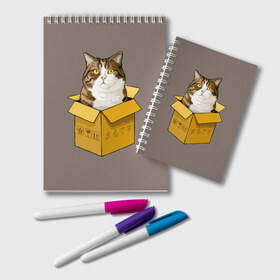 Блокнот с принтом Maru в Новосибирске, 100% бумага | 48 листов, плотность листов — 60 г/м2, плотность картонной обложки — 250 г/м2. Листы скреплены удобной пружинной спиралью. Цвет линий — светло-серый
 | cat | maru | коробка | кот в коробке | кот мару | котейка | кошка | мару | прикол