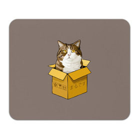 Коврик прямоугольный с принтом Maru в Новосибирске, натуральный каучук | размер 230 х 185 мм; запечатка лицевой стороны | cat | maru | коробка | кот в коробке | кот мару | котейка | кошка | мару | прикол